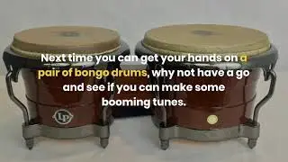 Interesting Bongo Drum Facts🥁
