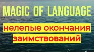 Нелепые несоответствия окончаний русских заимствованиях из латыни