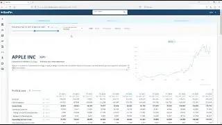 How to access fundamental data and original filings from a company?