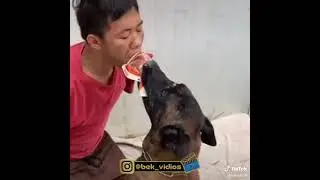 120206638 1570886929761974 3544853556894587070 n