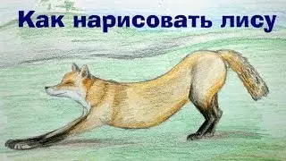 Как нарисовать лису карандашом