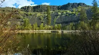 Звуки природы, пение птиц, Звуки Леса, сна, Медитации, Relax 3 часов