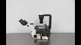 Olympus CKX53 Inverted Microscope ID 22057