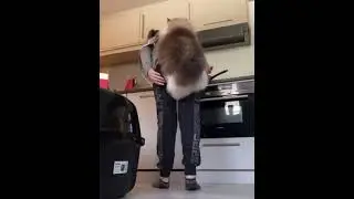 Спиногрыз 😂😂😅