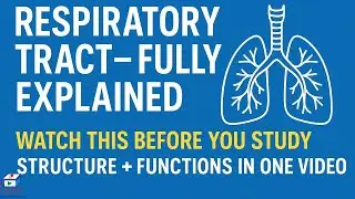 Physiological Anatomy of Respiratory Tract | Full Lecture