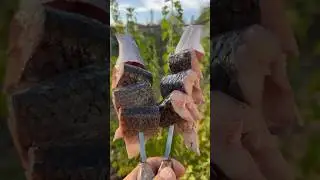 Шашлык из пеленгаса #шашлык