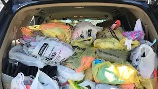 MASSIVE DOLLAR GENERAL PENNY HAUL: 350+ items
