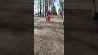 Первые шаги большого человека!)))