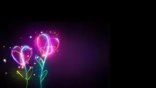 Light particle effect black screen | Neon flower plant effects black screen video