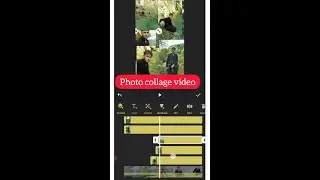 Create Photo Collage Videos that Will Trend: A Step-by-Step Guide on How to Use InShot by SadamGul