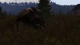 Fatum Stalker. Boar Beta 0.9