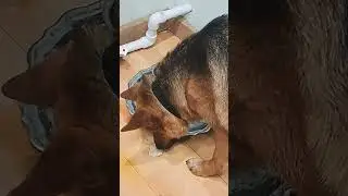 Кушаем вместе 