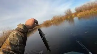 Закрыл сезон по жидкой воде.