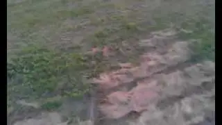 anthony pov ppg tandem tunkhannock  6-16-2012