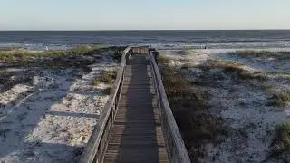 a1