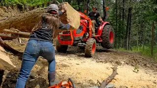 Another Day, Another Massive Log!