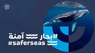 مبادرة #بحار_آمنة: تجسيدٌ لالتزامنا تجاه إرساء مستقبل مشرق ينعم فيه الجميع ببحار أكثر أماناً ونظافة