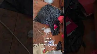 Мы мучительно гнили заживо в «черном» приюте💔