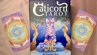 Новинка от U.S.Games 2024😻 🦄”Caticorn Tarot” 🦄 😻Распаковка и обзор колоды Таро.