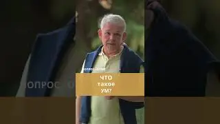 Что такое ум?