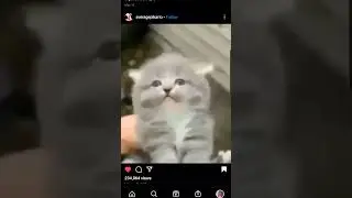 oh he's not happy