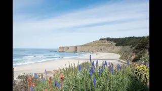 OpenRoad with Doug McConnell Episode 82 - Tunitas Creek Beach