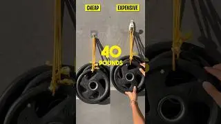 It Holds Up To 800lb?! 🤯