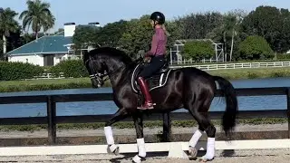 7yo Louis! November 2022