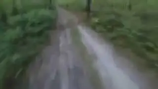 Course entre un ours et un vélo