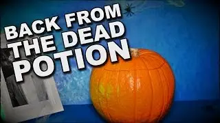 How To Make Potion To Bring Someone Back From The Dead