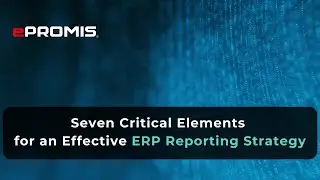 Effective ERP Reporting Strategy: Seven Critical Elements for Success