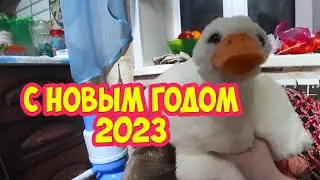 Поздравление с новым годом 2023
