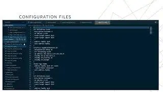 MPLS Service Deployment with Ansible by Roger Marty [FS24]