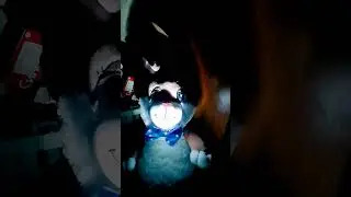 Когда кто-то забыл помыть подъезд…