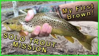 Catching My First Brown Trout | The Solo Trout Mission