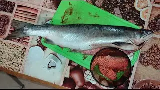 Как выбрать самку горбуши с красной икрой в магазине  на 100%. Выбрать горбушу с икрой! 100% СПОСОБ