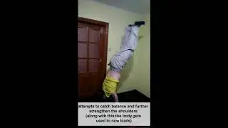 учимся стоять на руках потихоньку))