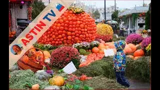 Moscow seasons. Indian summer. Festival in Moscow!