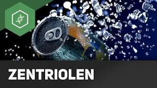 Zentriolen