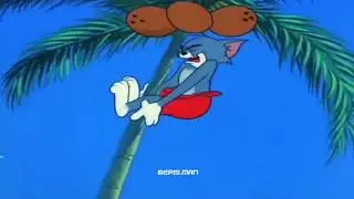 That guy got hit in the head with a coconut