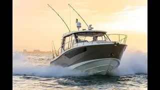 Another Day in a Boston Whaler