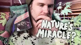 This VR SHOOTER is ALSO a Weed Farming Game