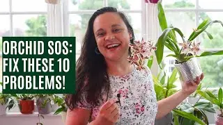 Top 10 common orchid problems and how to fix them fast!