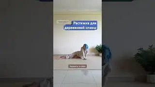 #пилатес #йогa #спина #упражнения #растяжкадлявсеготела #стретчинг #гибкость #позвоночник #бедра