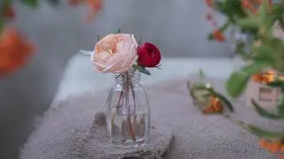 Пионовидная роза своими руками // DIY Rose