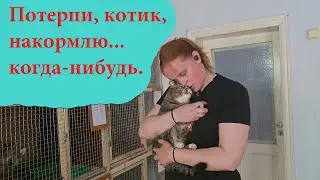 We are in despair. We declare Stolnik Day.