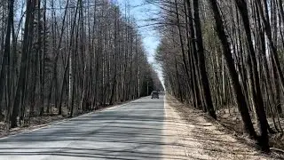 Как же прекрасна! Весна!☺️🔥 #весна #природа #велопутешествие #путешествие #природа #тепло
