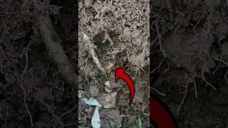 Unbelievable "OMG" Moment Finding GOLD Treasure || Metal Detecting UK