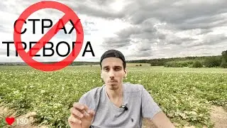 КАК Я ВЫЛЕЧИЛ ПАНИЧЕСКИЕ АТАКИ, ВСД, НЕВРОЗЫ