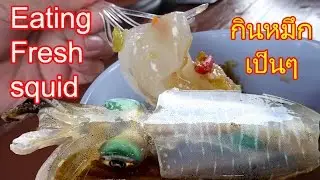 อะจึ๋ย!! กินหมึกดิบเป็น ๆ eating fresh Squid